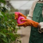 Cada cuánto tiempo tienes que fumigar tu jardín