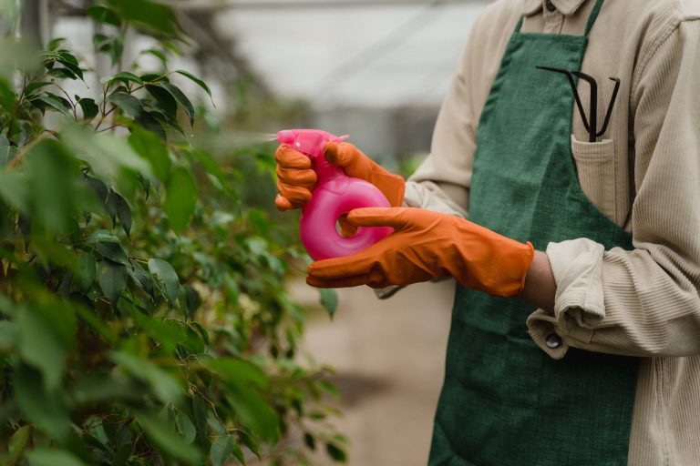 Cada cuánto tiempo tienes que fumigar tu jardín